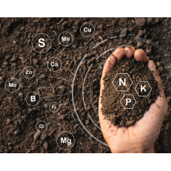 Pobór i analiza próby glebowej